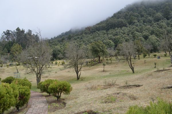 Hotels in Khirsu