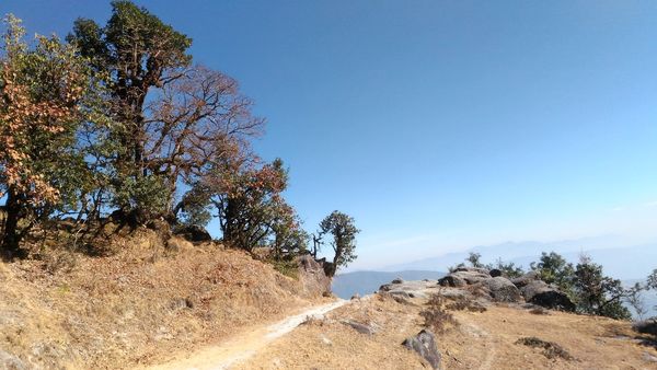 Hotels in Binsar