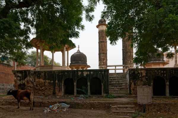Hotels in Mandawa