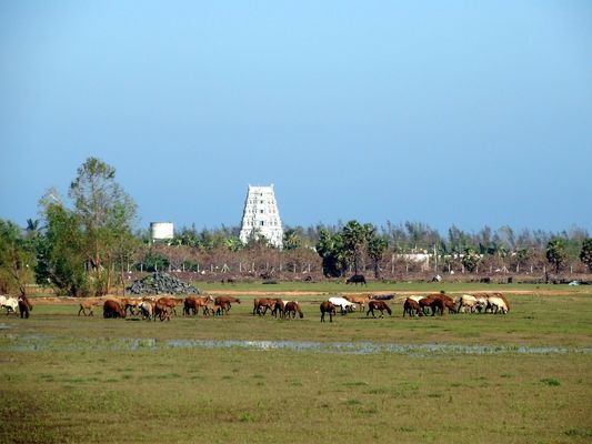 Parangipettai tourist destination