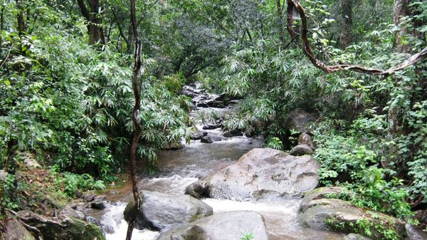 Palai tourist destination