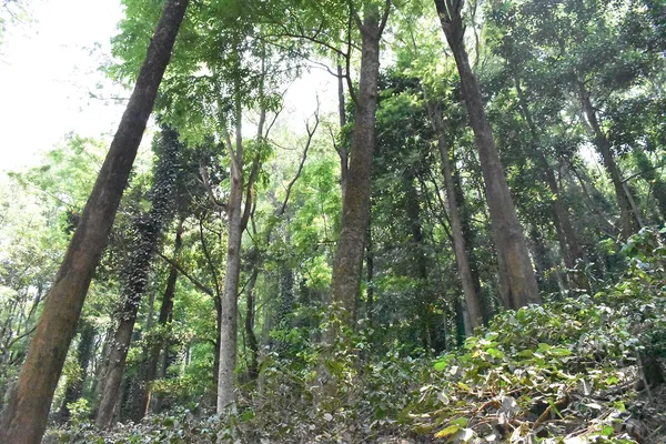 Gangtok