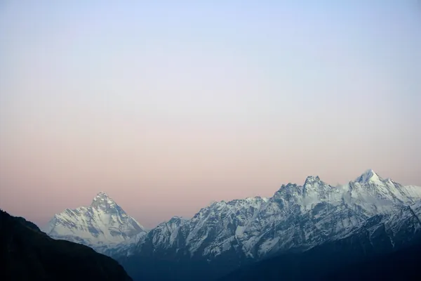 Auli