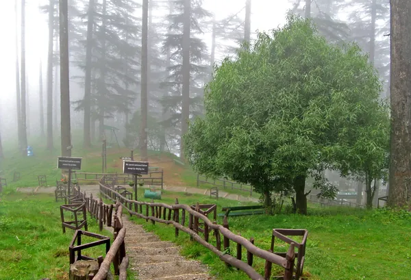 Hotels in Dhanaulti