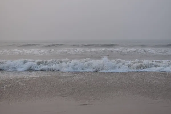 Puri