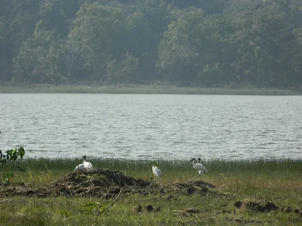 Murtizapur tourist destination