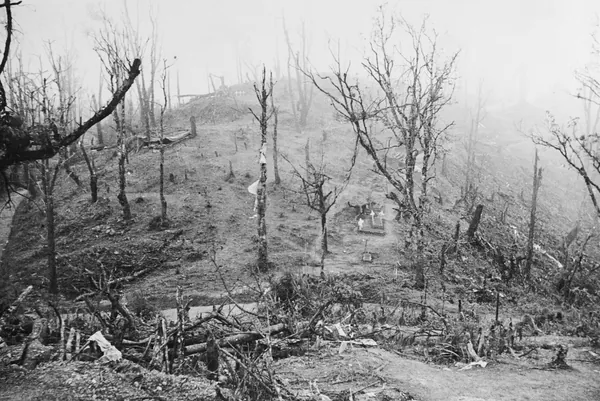 Kohima
