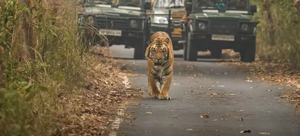Pilibhit tourist destination