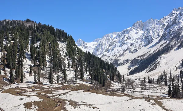 Hotels in Sonamarg