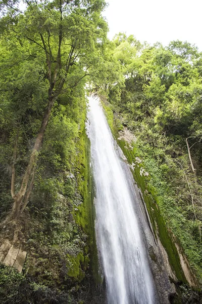 Hotels in Chakrata 
