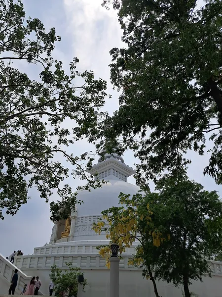 Rajgir