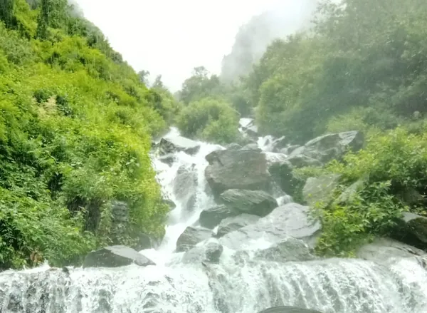 Hotels in Barkot