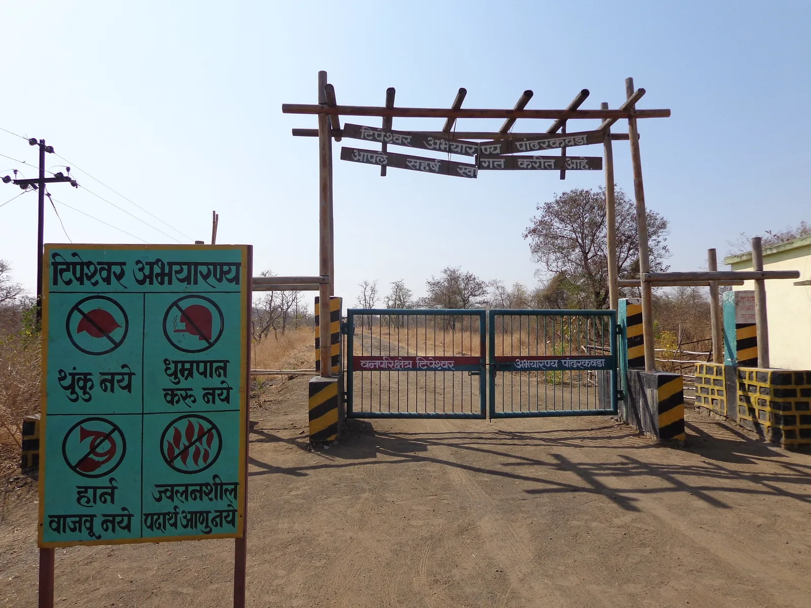 Tipeshwar Wildlife Sanctuary Yavatmal