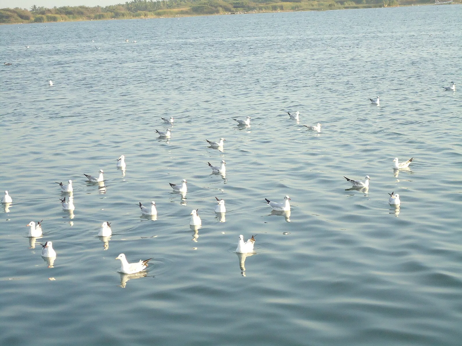 Sacred Triveni Sangam Ghat of Hiran, Kapila and Saraswati Rivers