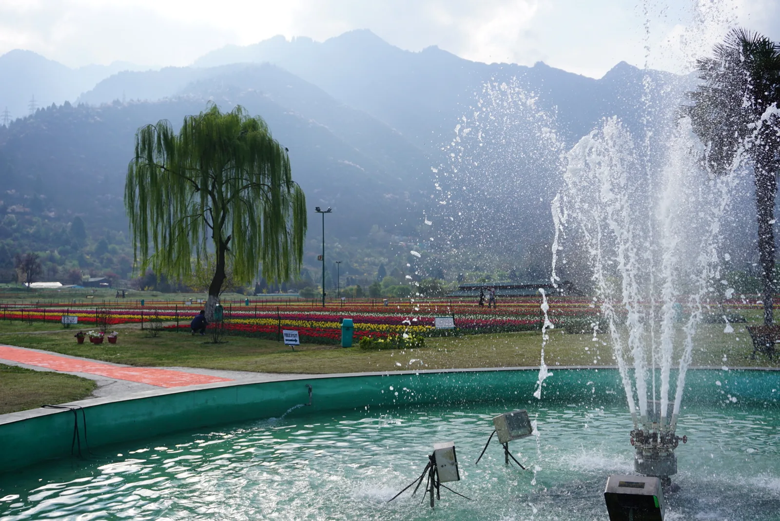 Tulip Garden Srinagar