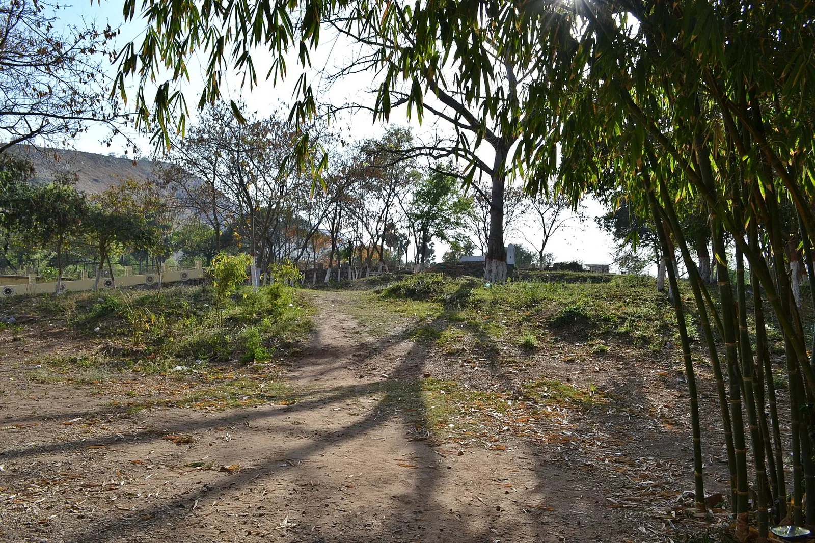 Venuvana Vihara Rajgir