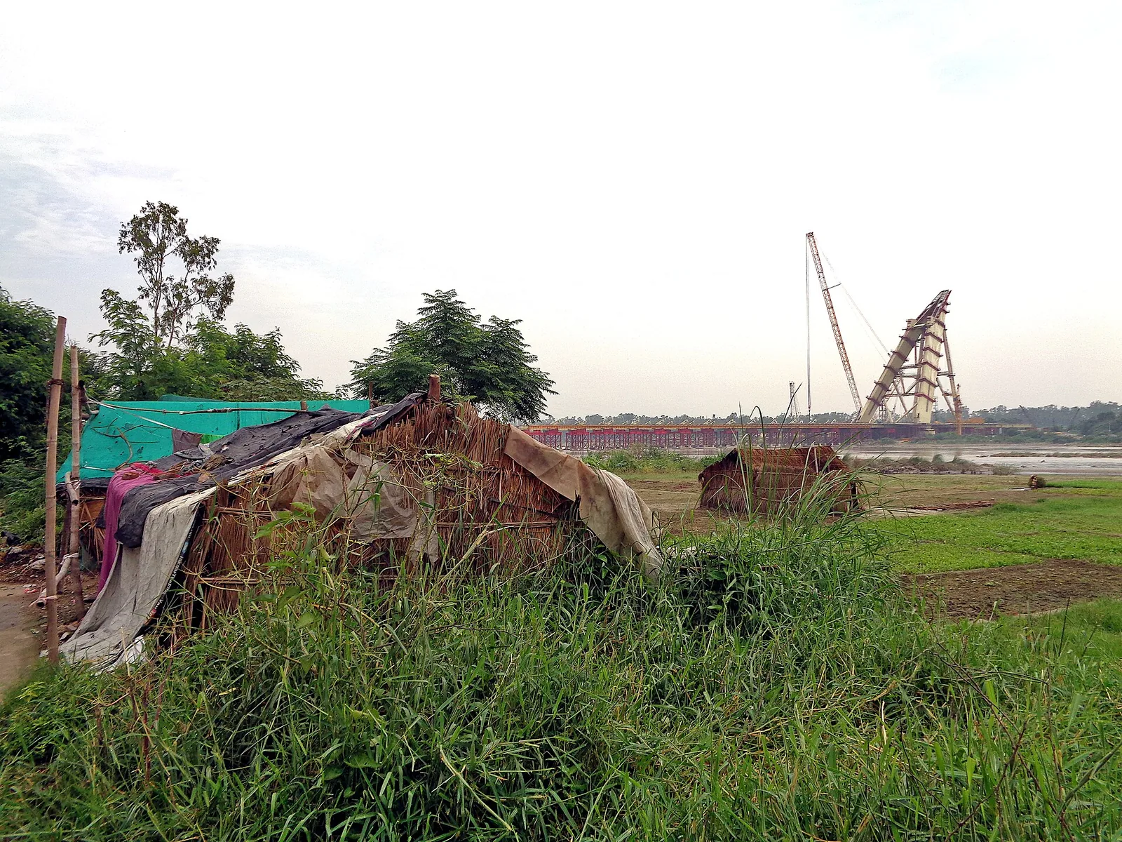 Yamuna Biodiversity Park Loni