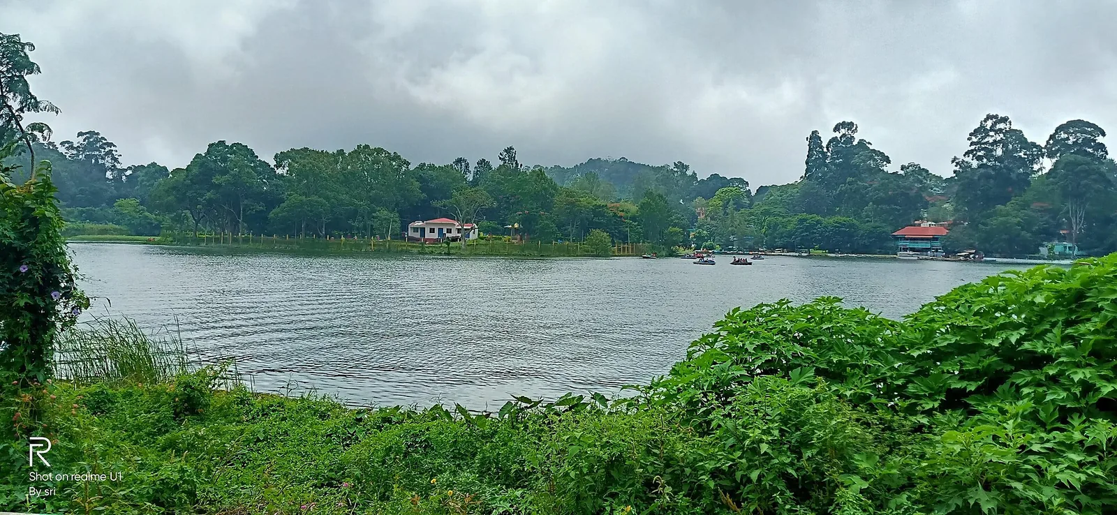 Shevaroy Hills Forest Canopy and Mountain Vistas in Salem Yercaud