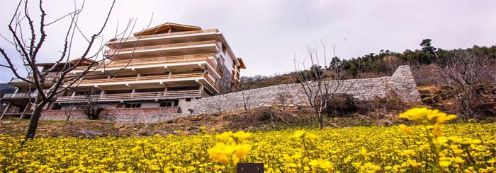 Vivaan Resort Manali