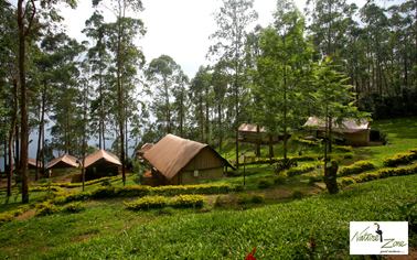 Nature Zone Resort Munnar