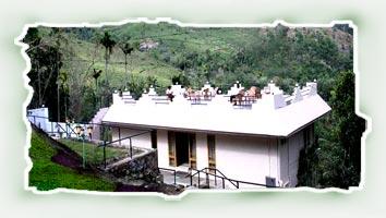 Winter Green Resorts