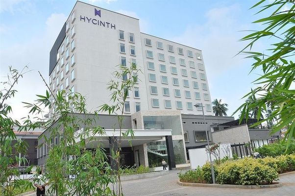 Hycinth By Sparsa