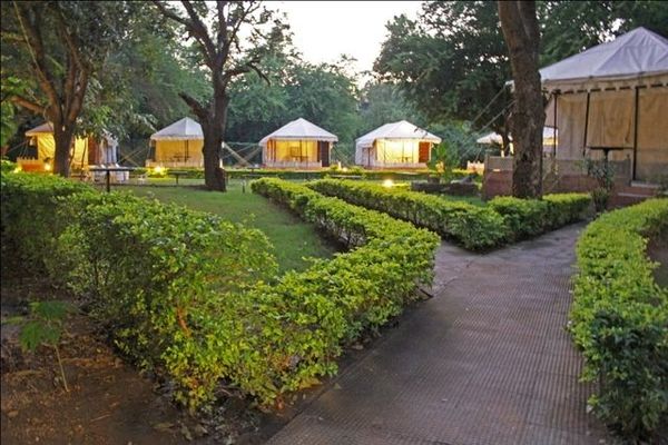 Aravali Tent Resort Udaipur