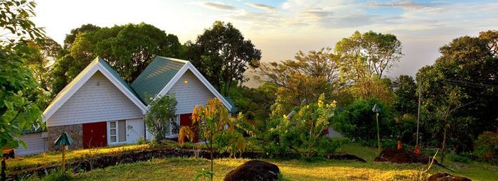 Ambady Estate Munnar