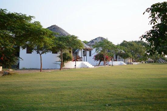 kutch safari lodge bhuj