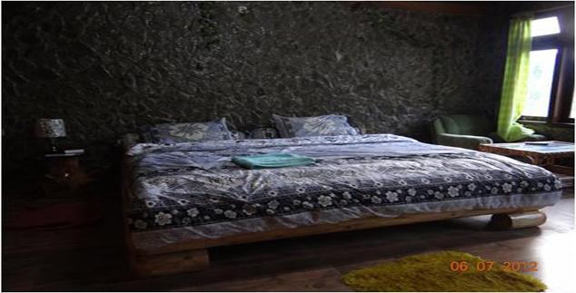 Siiro Resort Ziro