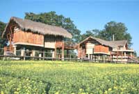 Diphlu River Lodge