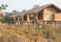 Diphlu River Lodge