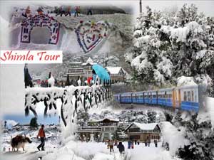 Shimla and Around Tour 