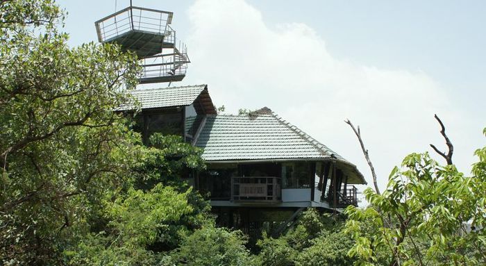 The Machan