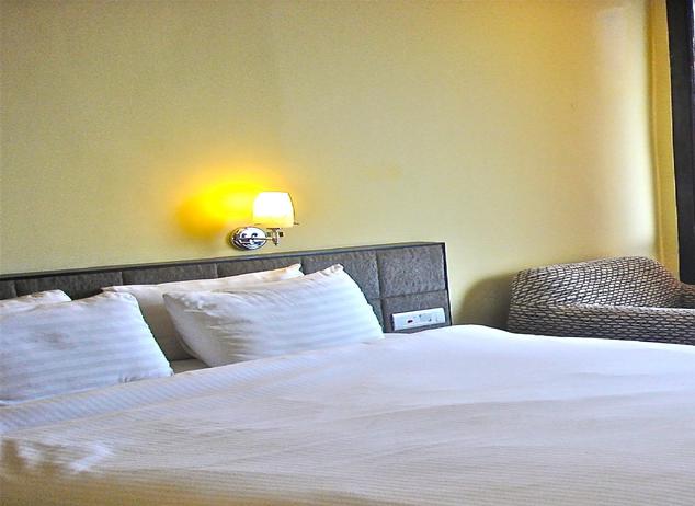Hotel Tara Palace