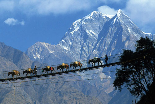 Pelling Tour Package 