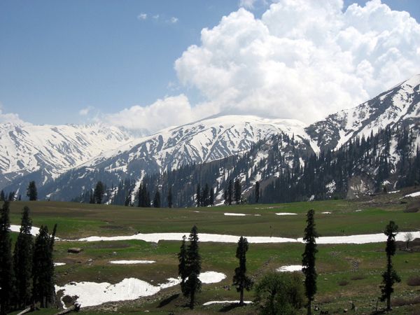 Gulmarg Tour Package