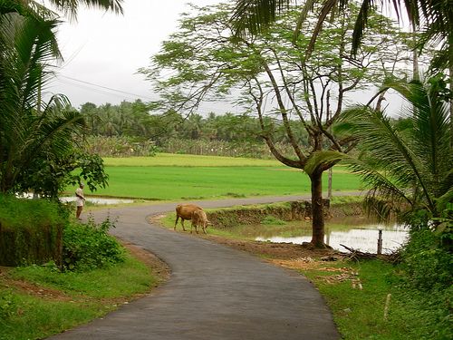 Malappuram Landmark and Heritage View 3