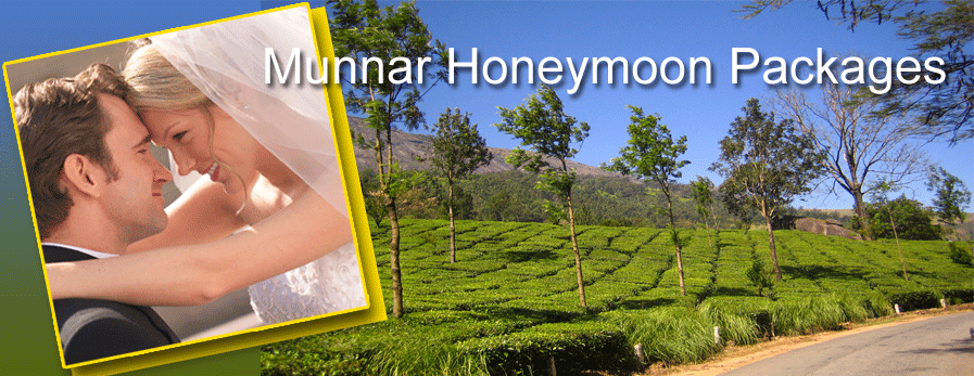 Munnar Tour Packages