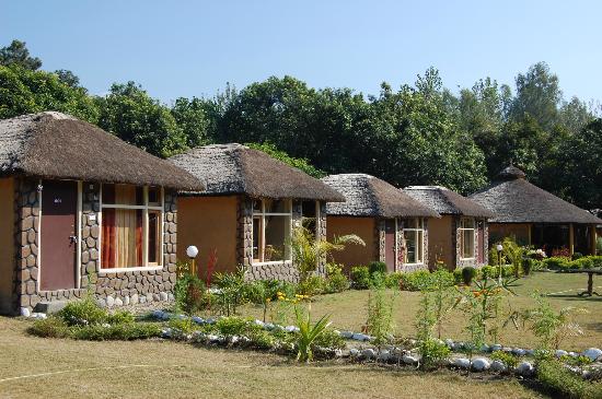 Jungle Paradise Retreat