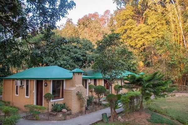 Bagheera Jungle Retreat