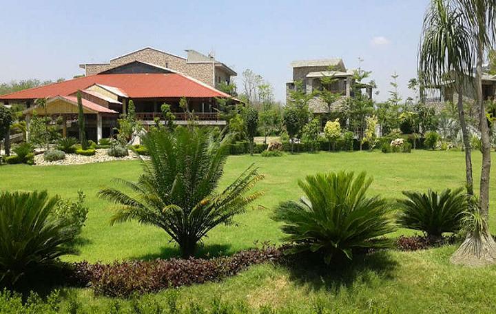 Parfait The Roar Resort