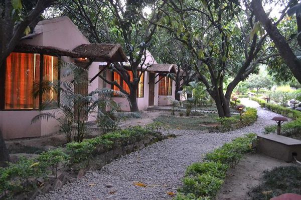 Corbett Wild Jungle & Riverside Lodge