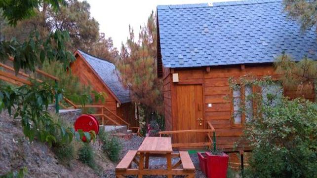 Suro Treehouse Resort and Spa Shimla