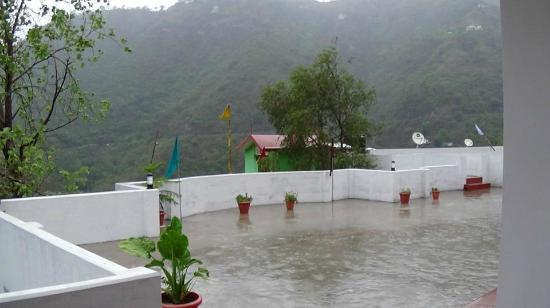 Kasauli Pines Homestay Kasauli