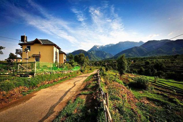 Seclude Palampur Palampur
