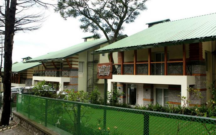 Norwood Green Palampur
