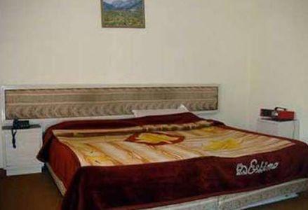 Dogra Residency Hotel Patnitop