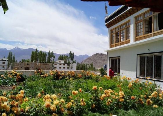 Dorje Guest House
