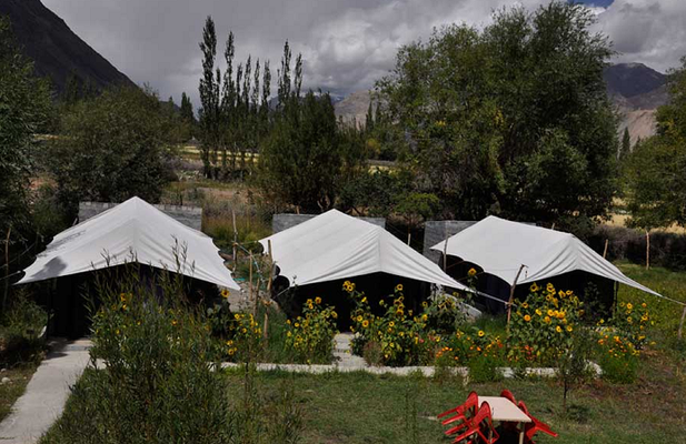 Edel Weiss Camp Leh Ladakh